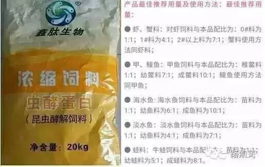 用于水产上的小昆虫,有大作用 关注