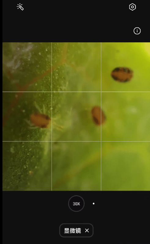 用OPPO Find X3显微镜功能拍生菜,发现肉眼看不见的小虫