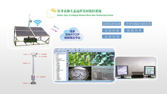 植物保护能力提升工程全国农作物病虫疫情监测分中心田间监测点项